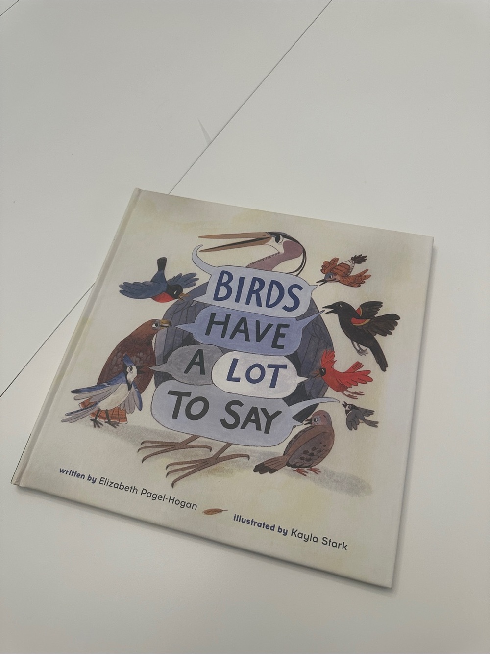 Birds Have a Lot to Say — Illustrated Children's Book kiwico